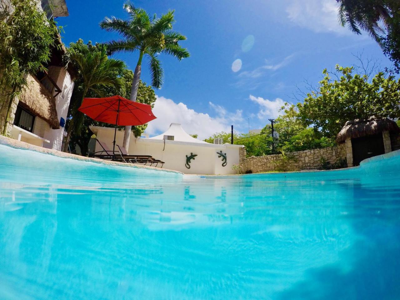 Guest house Mango Rooms